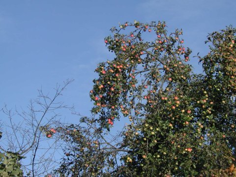 Escursione sul Cammino del Sinodo 22/10/2006